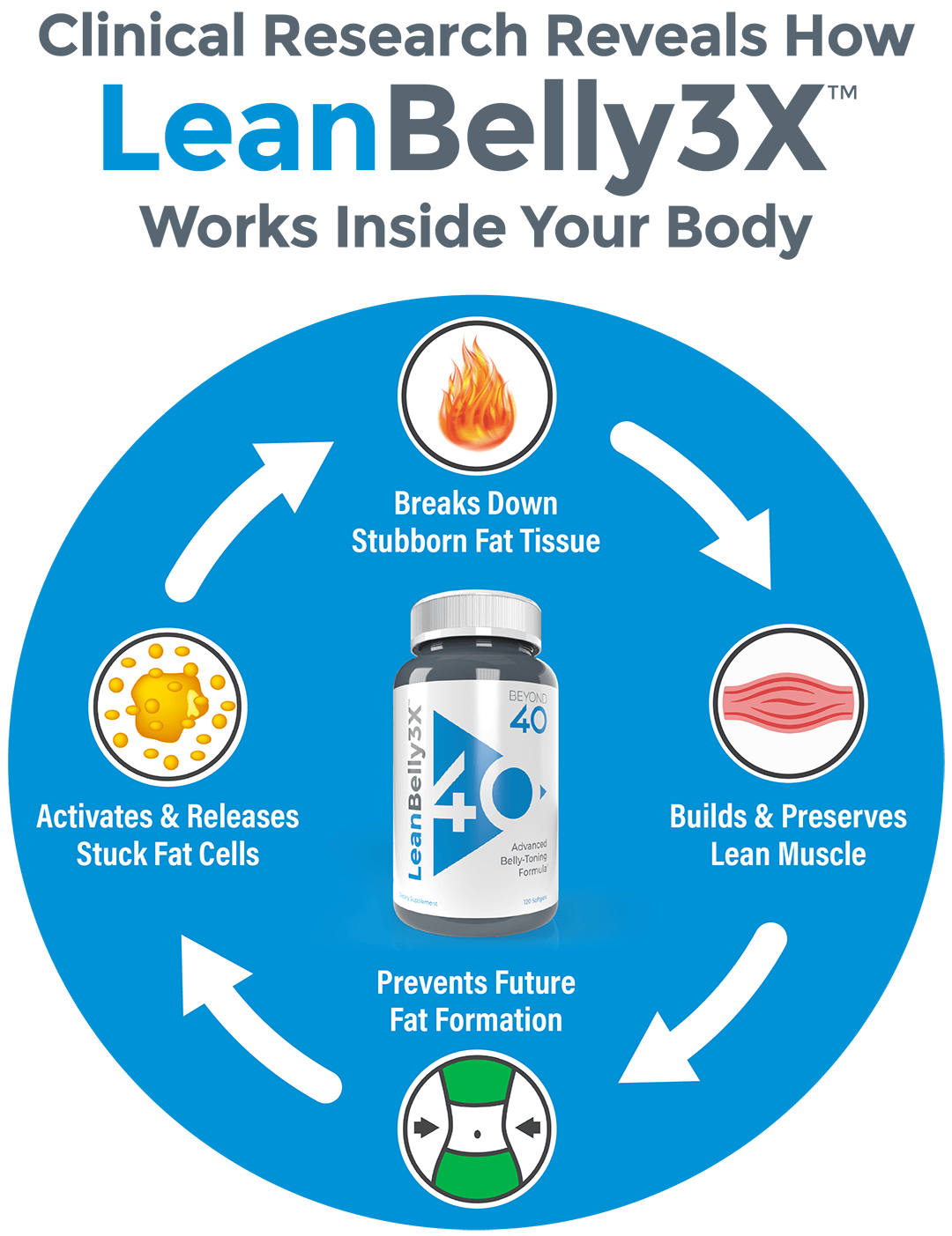 How Lean Belly 3X Works